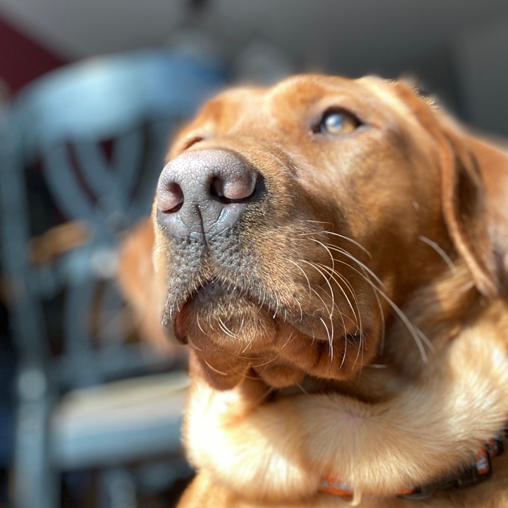 Meet your Posher, Alayna